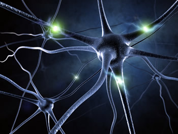 neurons - Northern Brain Injury Association | British Columbia