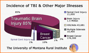 Brain Injury Stats