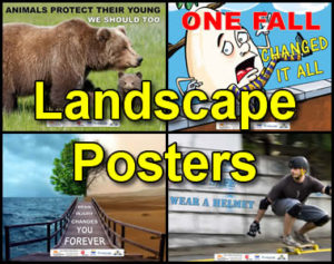 Landscape Poster Link